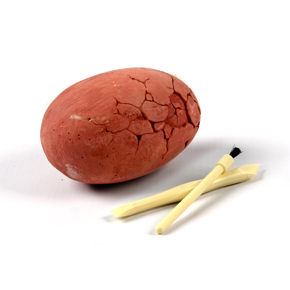 Dino Egg Mini Excavation Kit