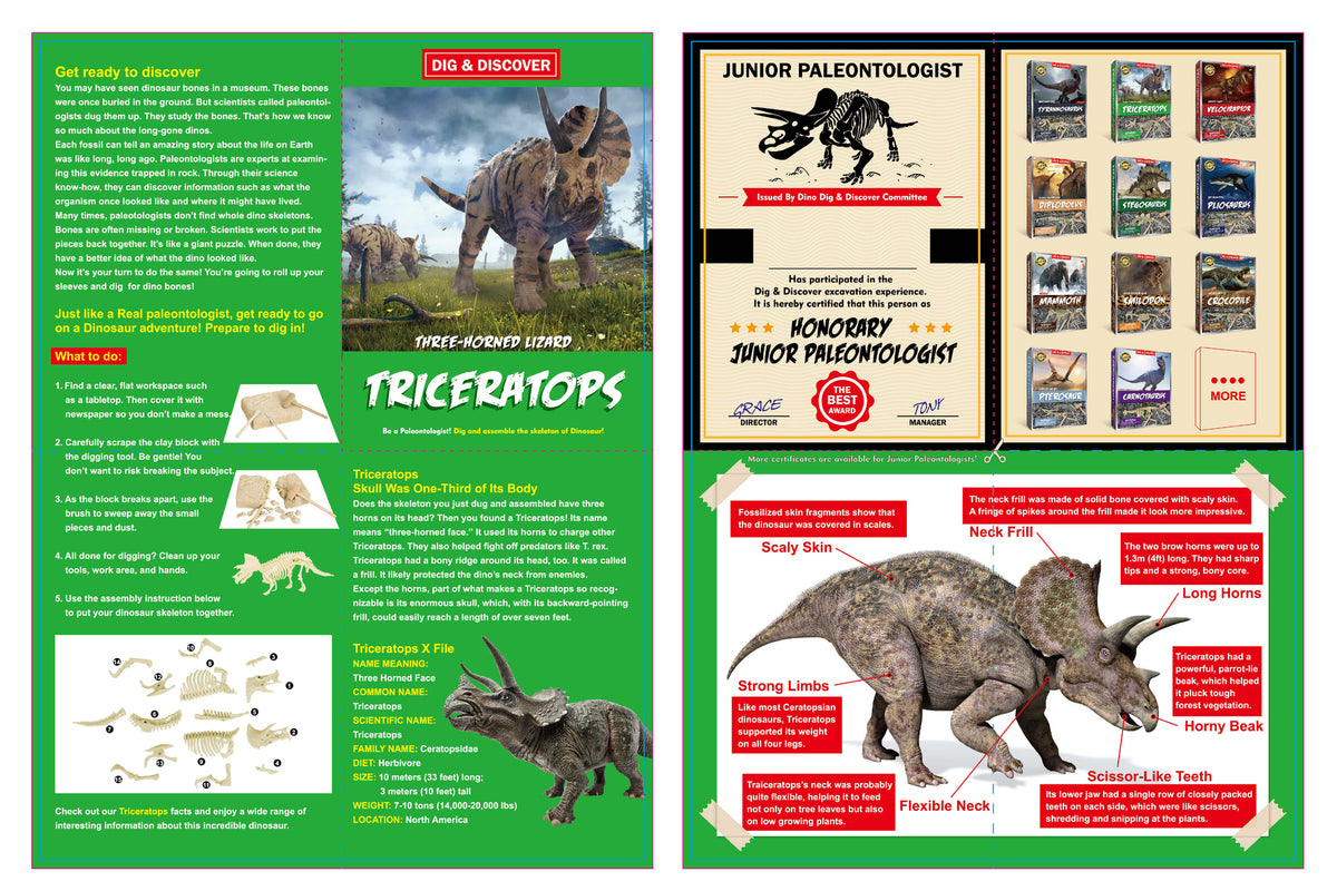 Dig & Discover Triceratops Dig Kit