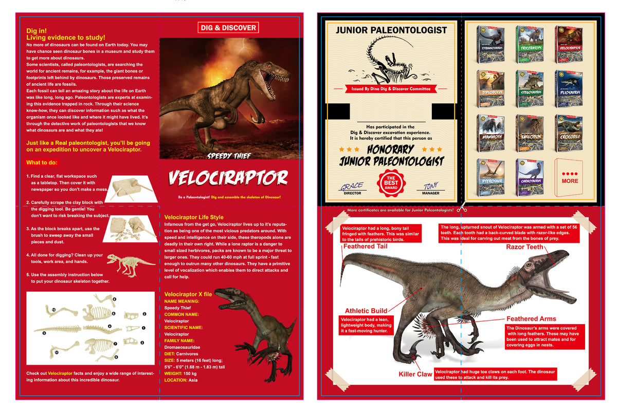 Dig & Discover Velociraptor Dig Kit
