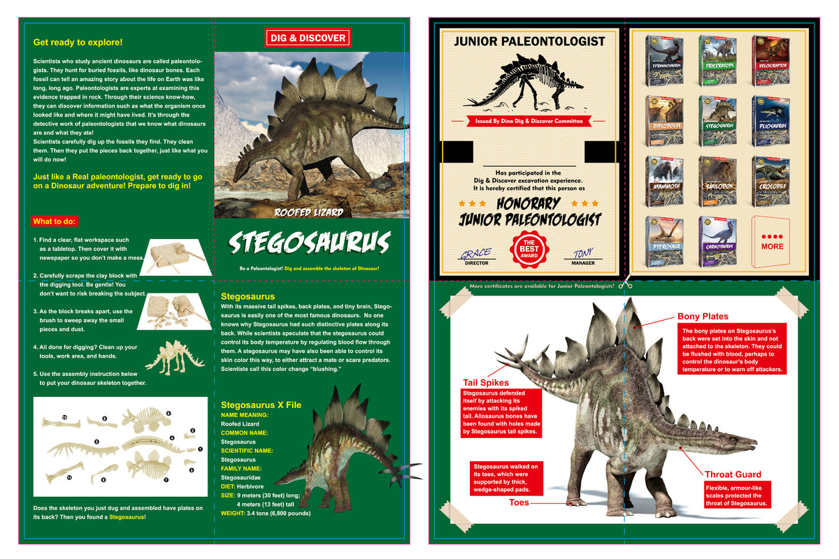 Dig & Discover Stegosaurus Dig Kit