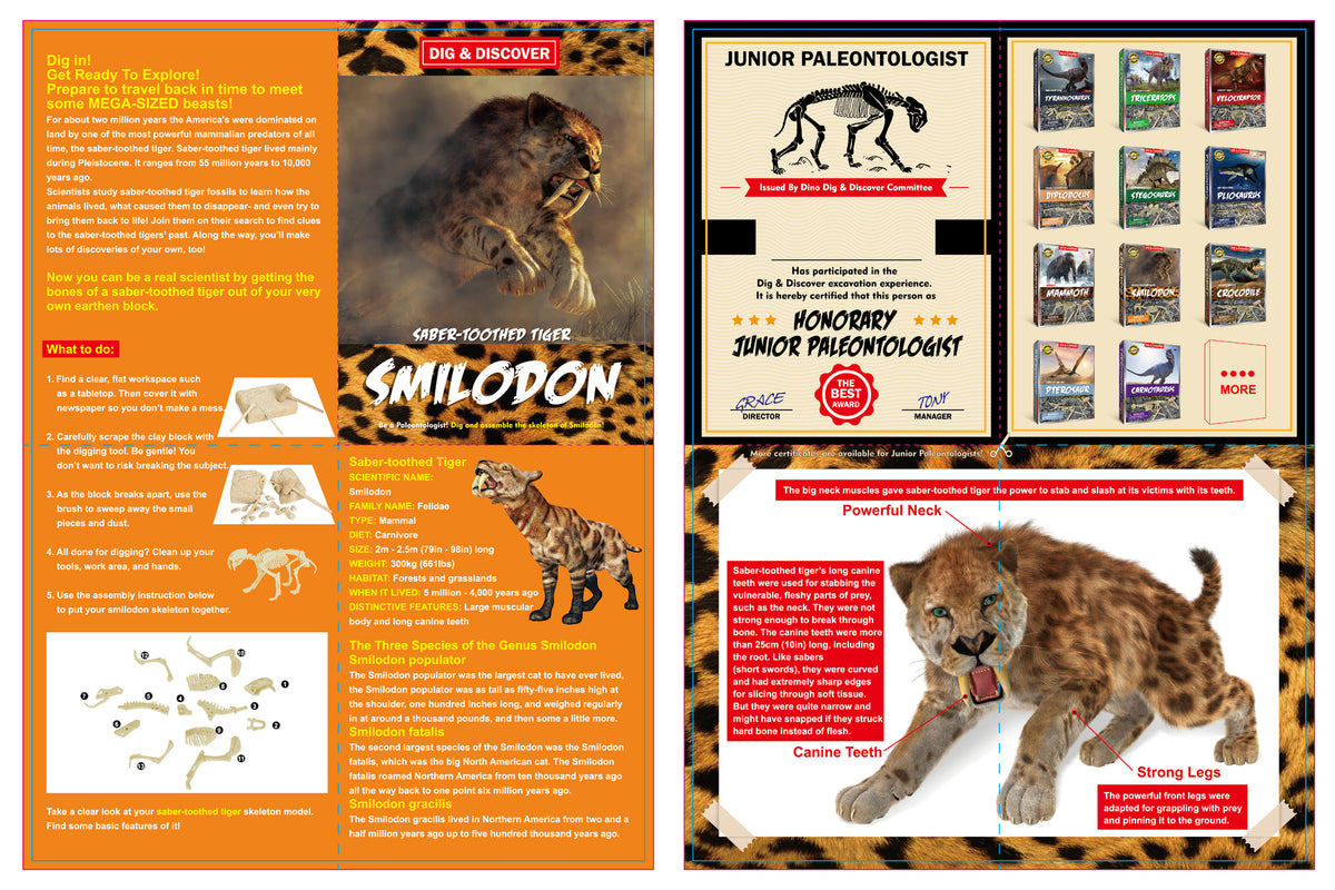 Dig & Discover Saber-Toothed Tiger Dig Kit