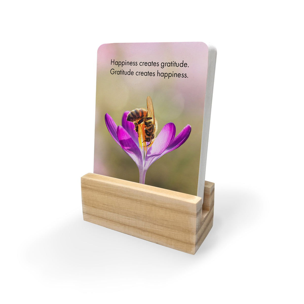 Just Bee - 24 Animal Affirmation Cards + Stand
