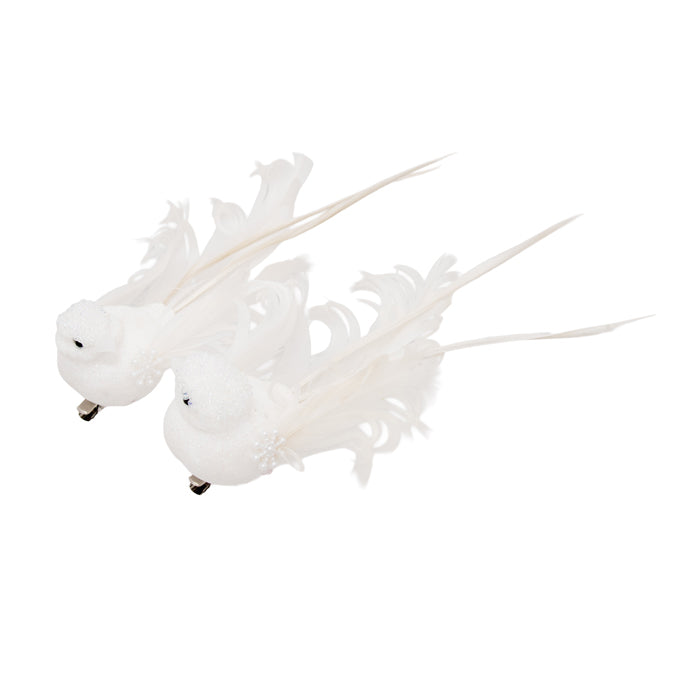 Clip On Bird White Scroll Tail 3 Assorted