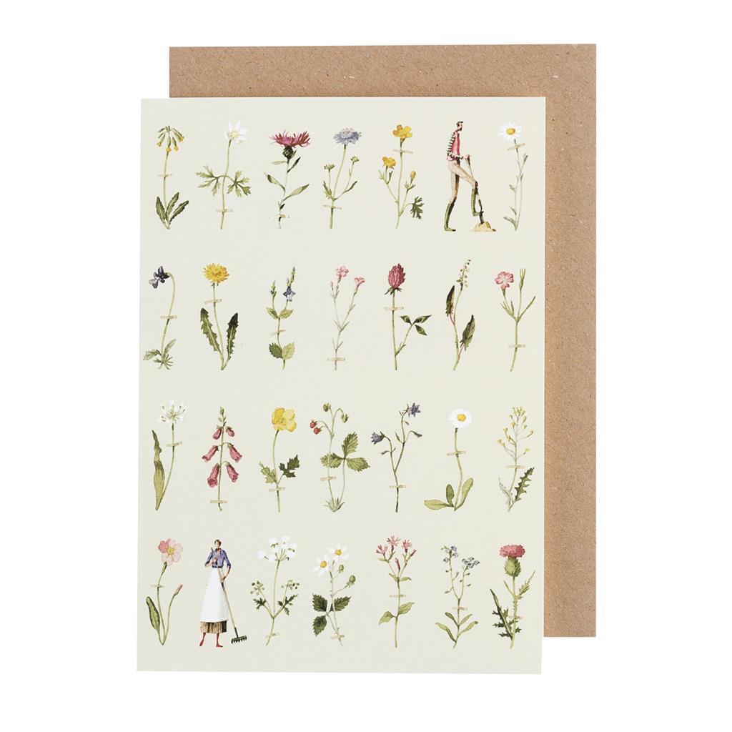 Laura Stoddart Wild Flowers Greeting Card