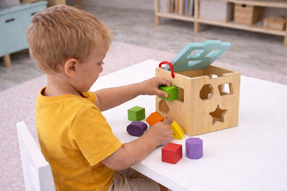 Shape Sorter
