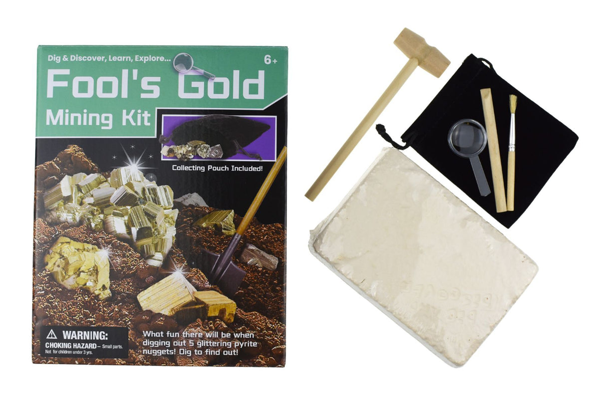 Fools Gold Mining Kit