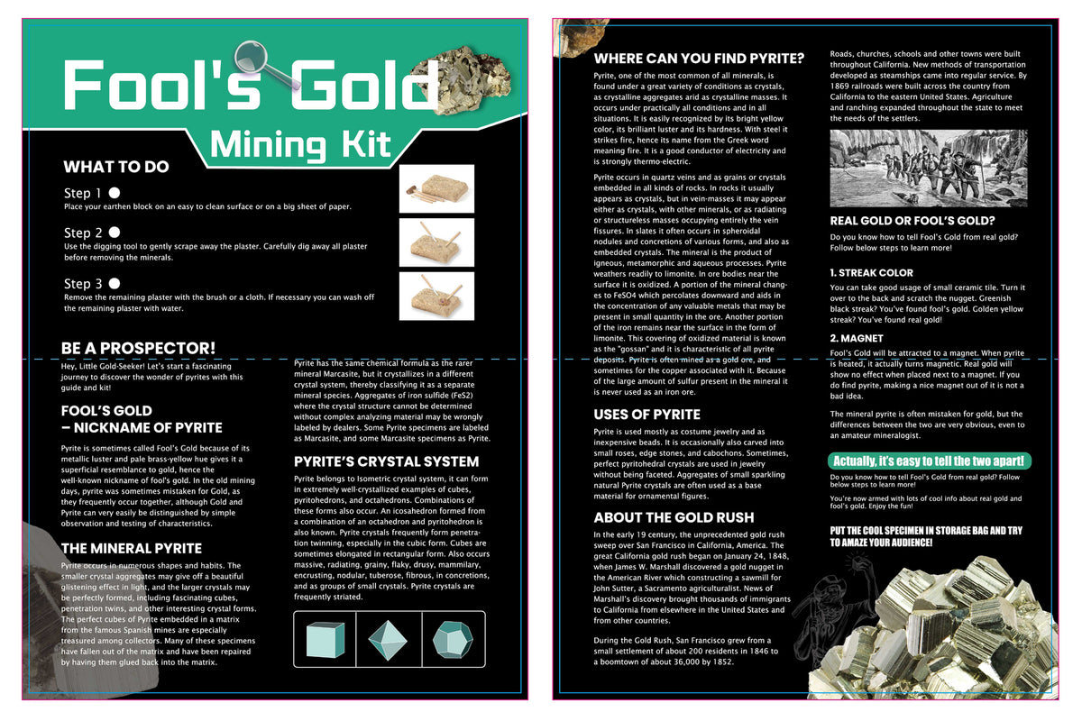Fools Gold Mining Kit