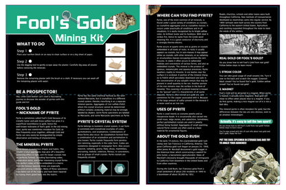 Fools Gold Mining Kit