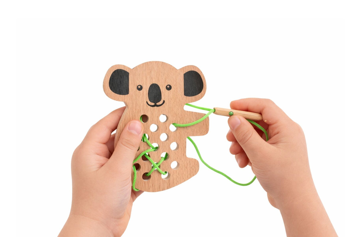 Lacing Koala