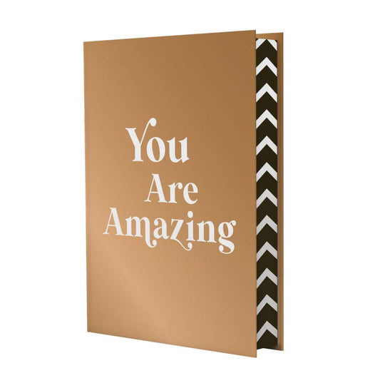 You Are Amazing Special Edition