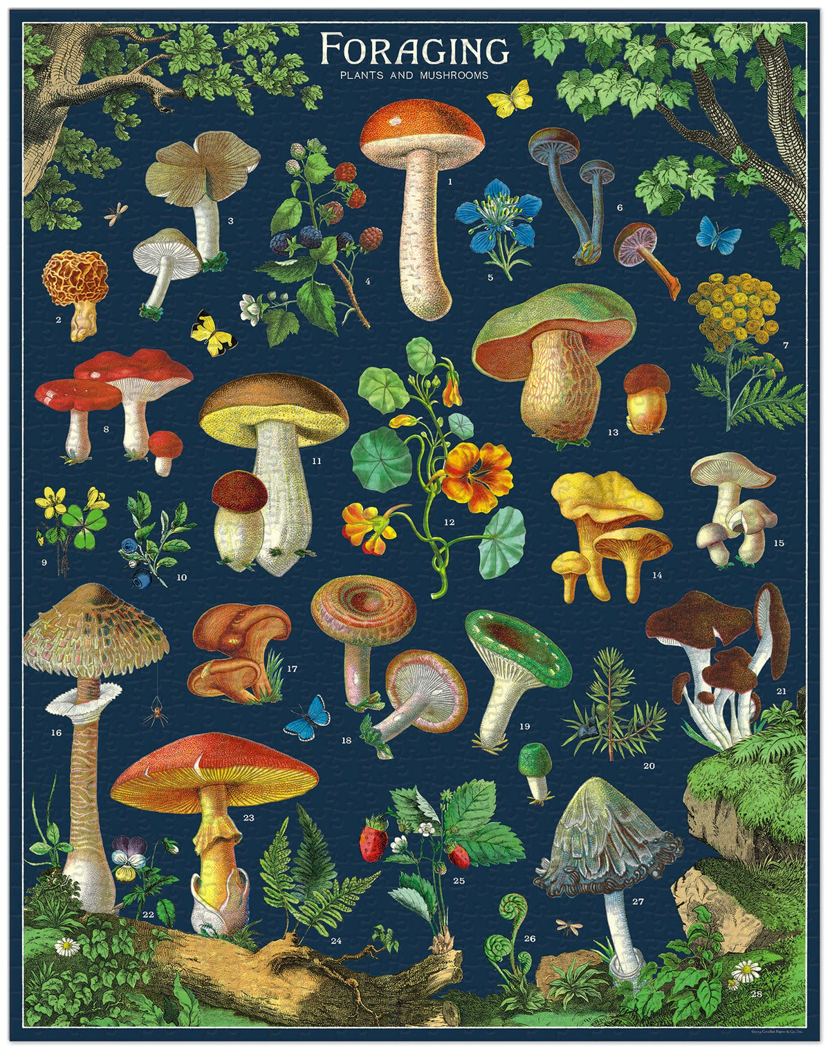 Cavallini 1000 Pc Puzzle - Foraging