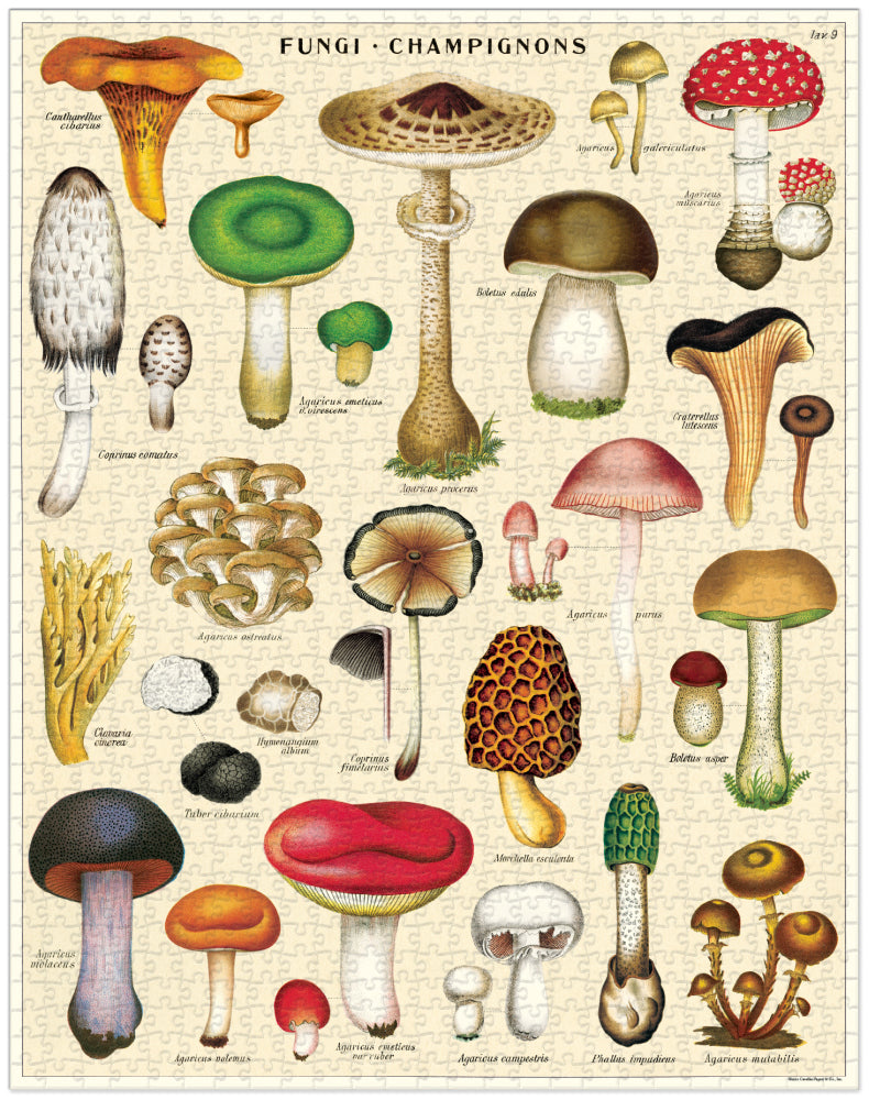 Cavallini 1000 Pc Puzzle - Mushrooms