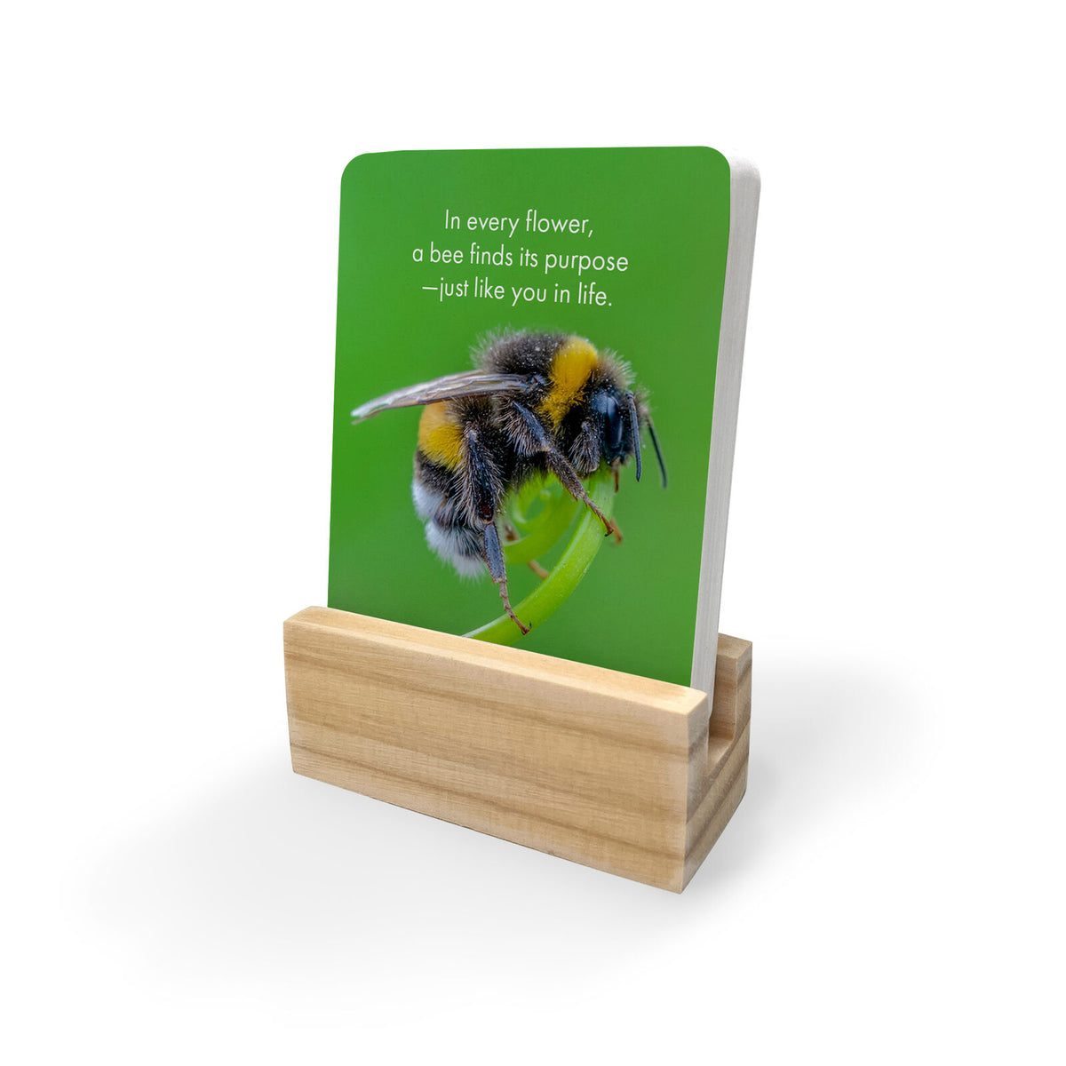 Believe in Yourself - 24 Animal Affirmation Cards + Stand