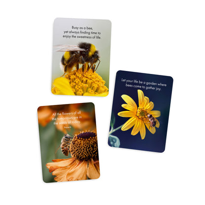 Believe in Yourself - 24 Animal Affirmation Cards + Stand