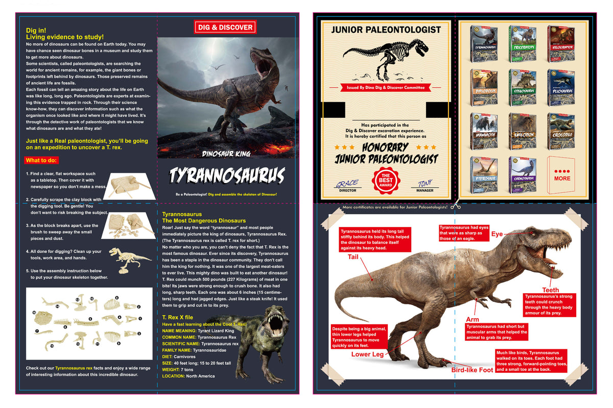 Dig & Discover Tyrannosaurus Dig Kit