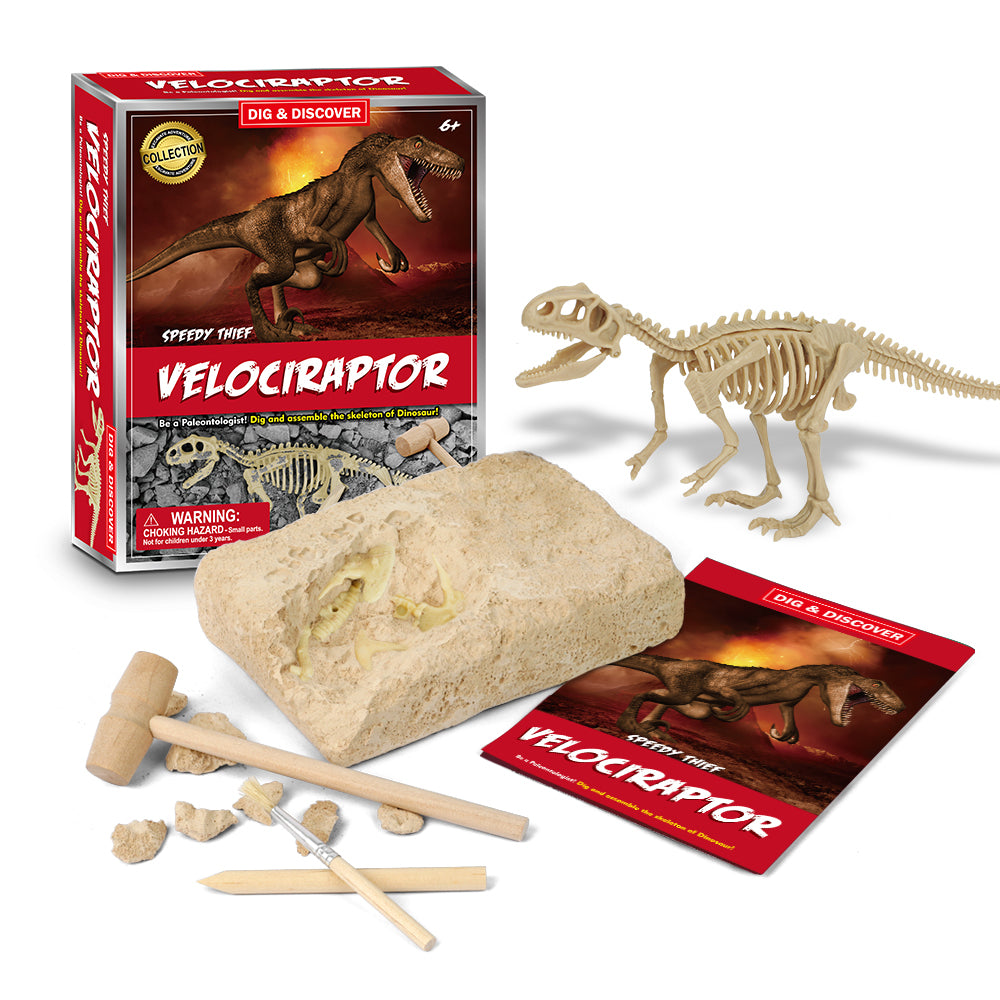 Dig & Discover Velociraptor Dig Kit