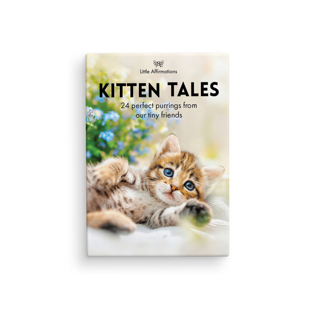 Kitten Tales - 24 Animal Affirmation Cards + Stand