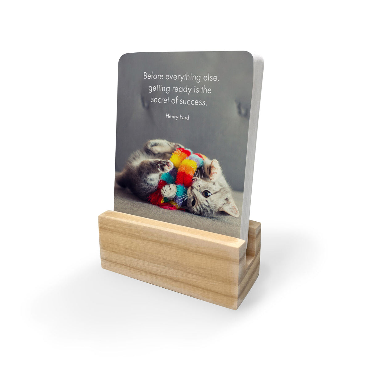 Kitten Tales - 24 Animal Affirmation Cards + Stand