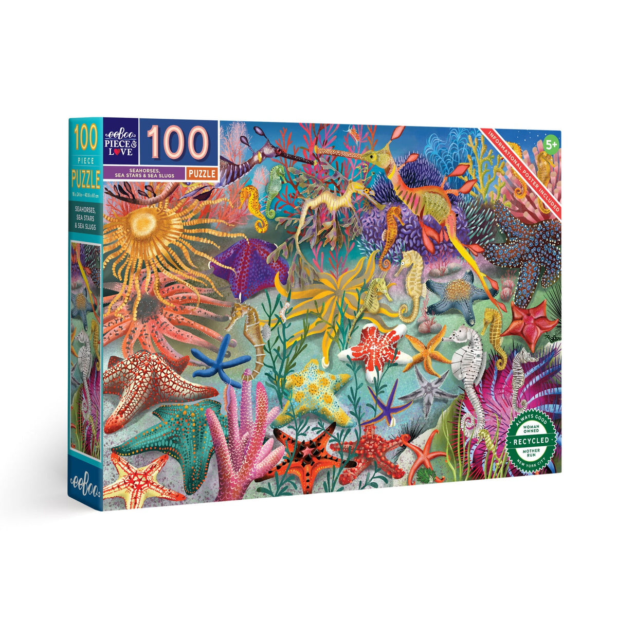 eeBoo 100 Pc Puzzle - Seahorses, Sea Stars & Sea Slugs