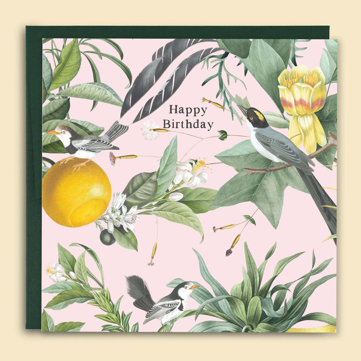 Papernest Happy Birthday Birds & Lemons Card