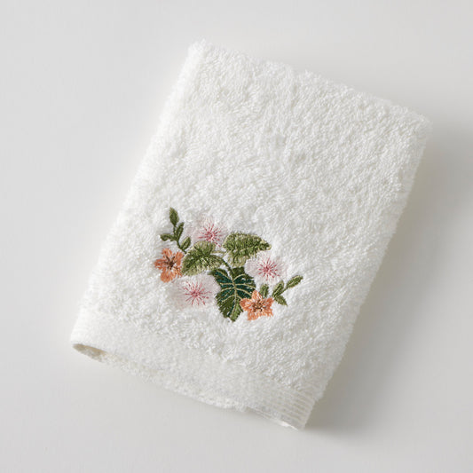 Anjou Face Washer