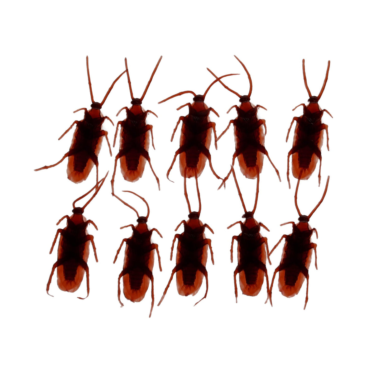Rex London Classic Jokes - Cockroaches (Box of 10)