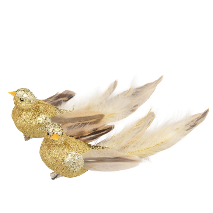 Clip On Bird Gold Natural 2 Assorted