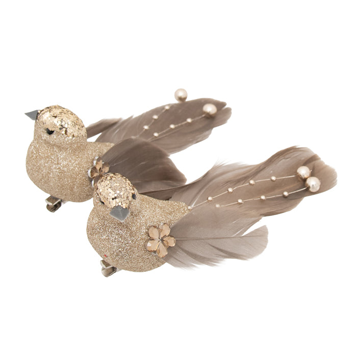 Clip On Bird Pearl Tail Champagne 2 Assorted