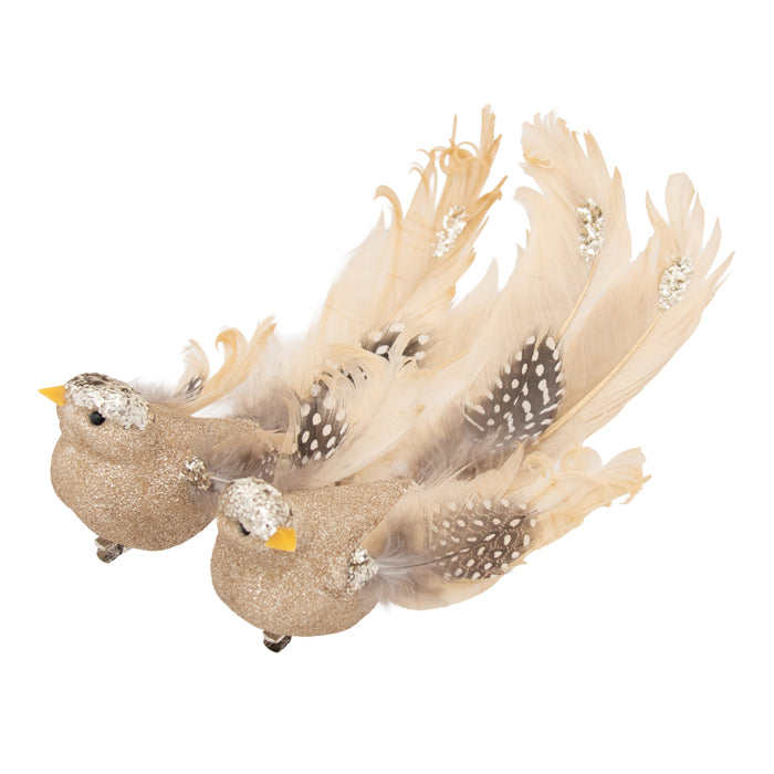Clip On Bird Champagne Spot Tail 2 Assorted