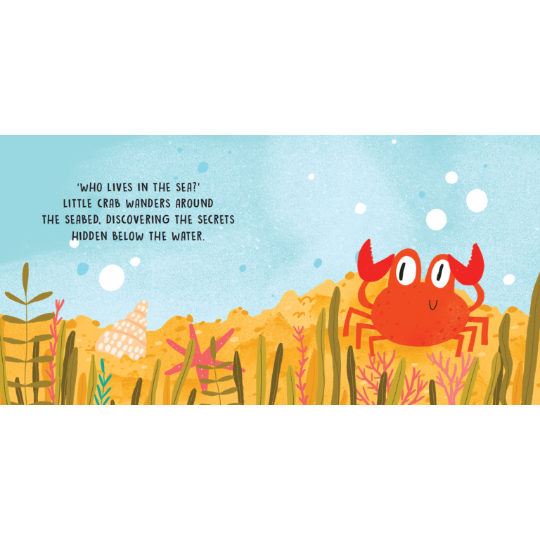 Sweet Sounds Stories The Sea