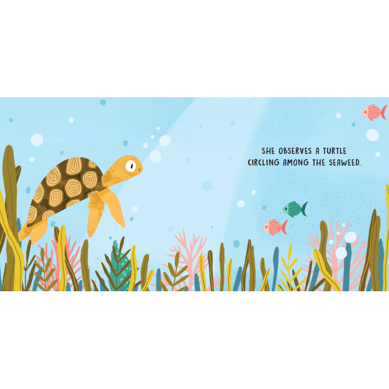 Sweet Sounds Stories The Sea