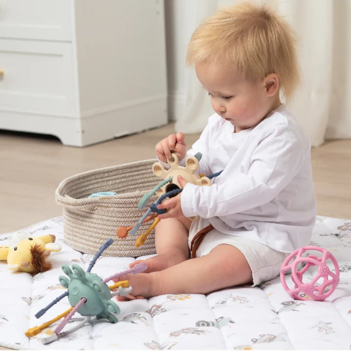 Pull String Interactive Toy - Jimmy