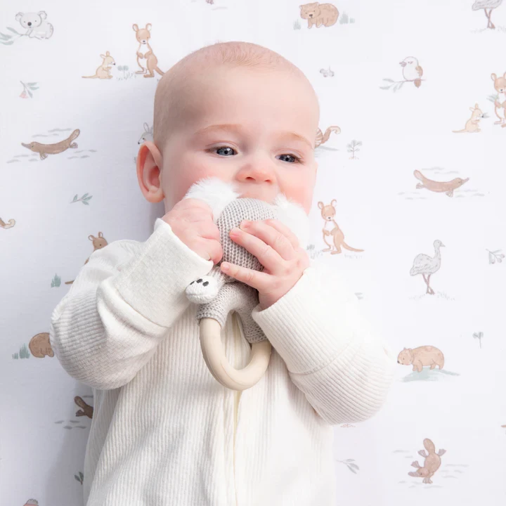 Australian Ring Rattle - Keith the Koala