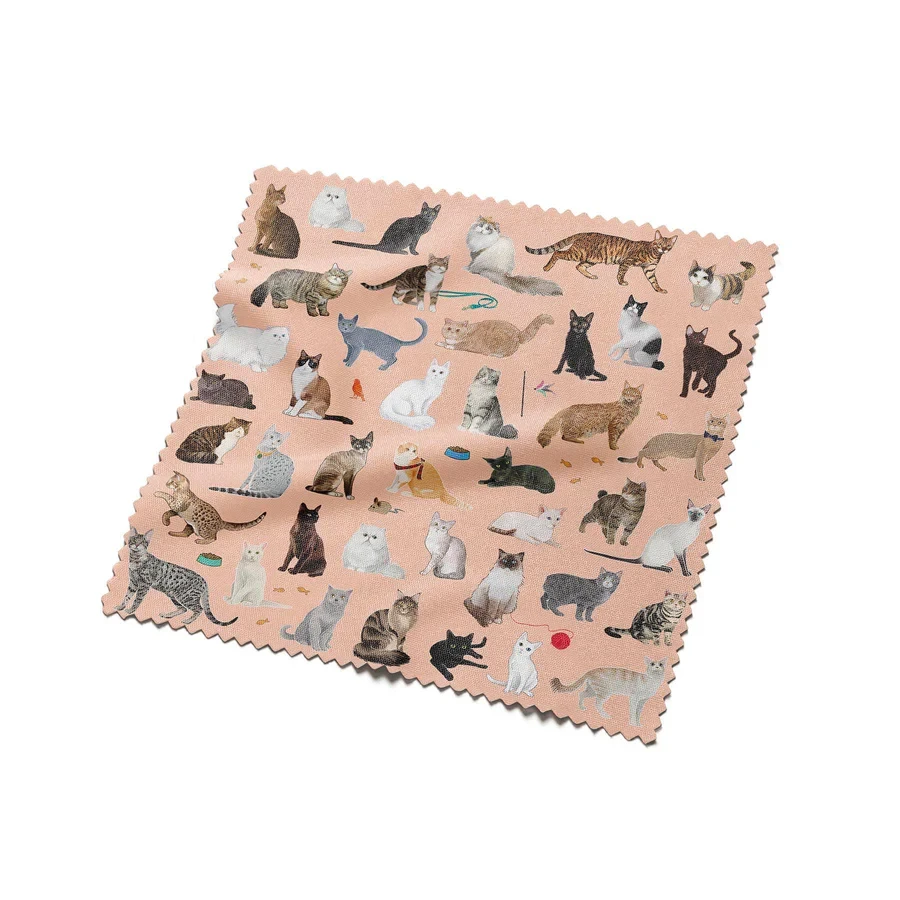 Fancy Felines Hard Shelled Glasses Case