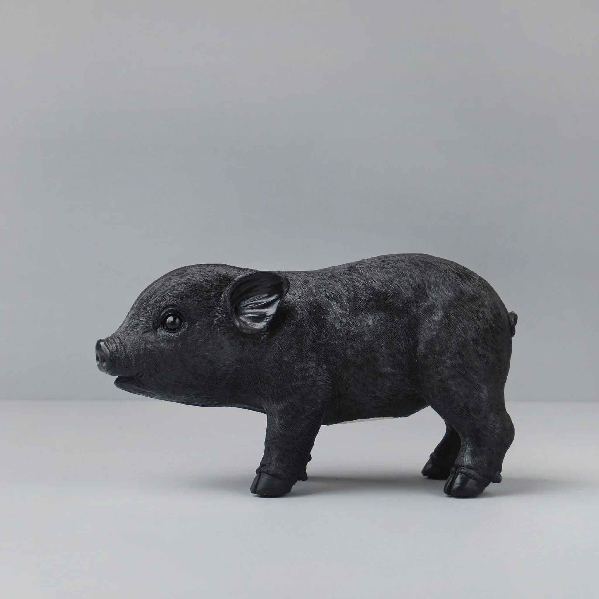 Pig Money Box - Black