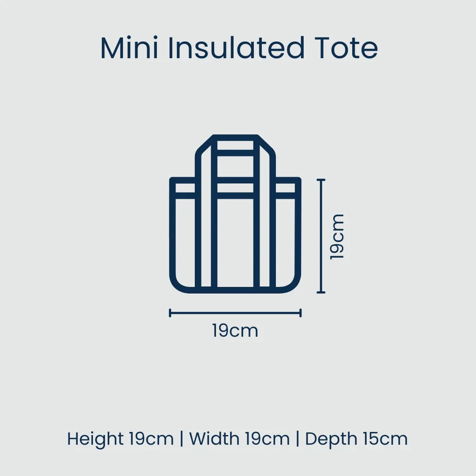 Mini Insulated Tote - Retro Stripe
