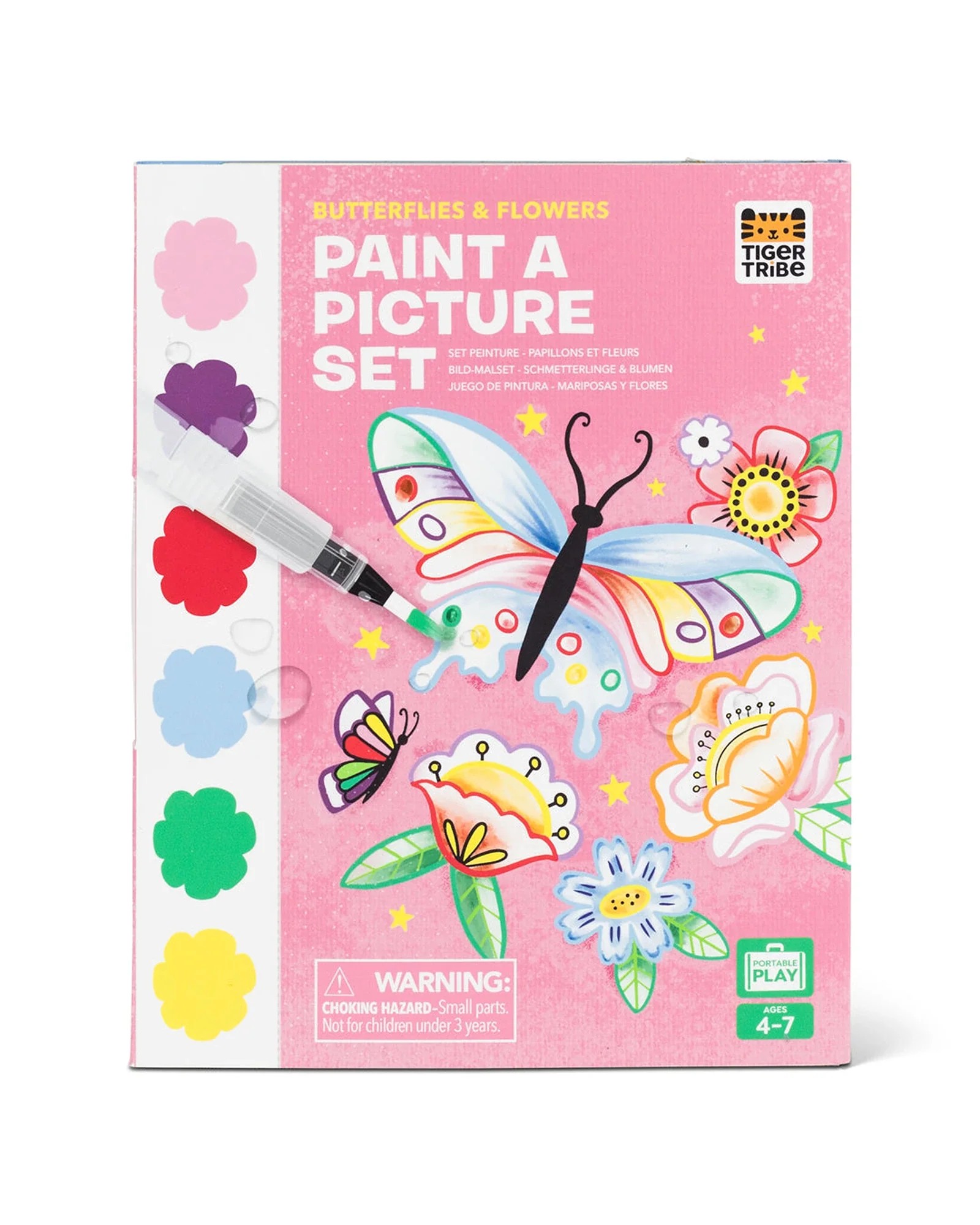 Paint a Picture Set - Butterflies & Flowers