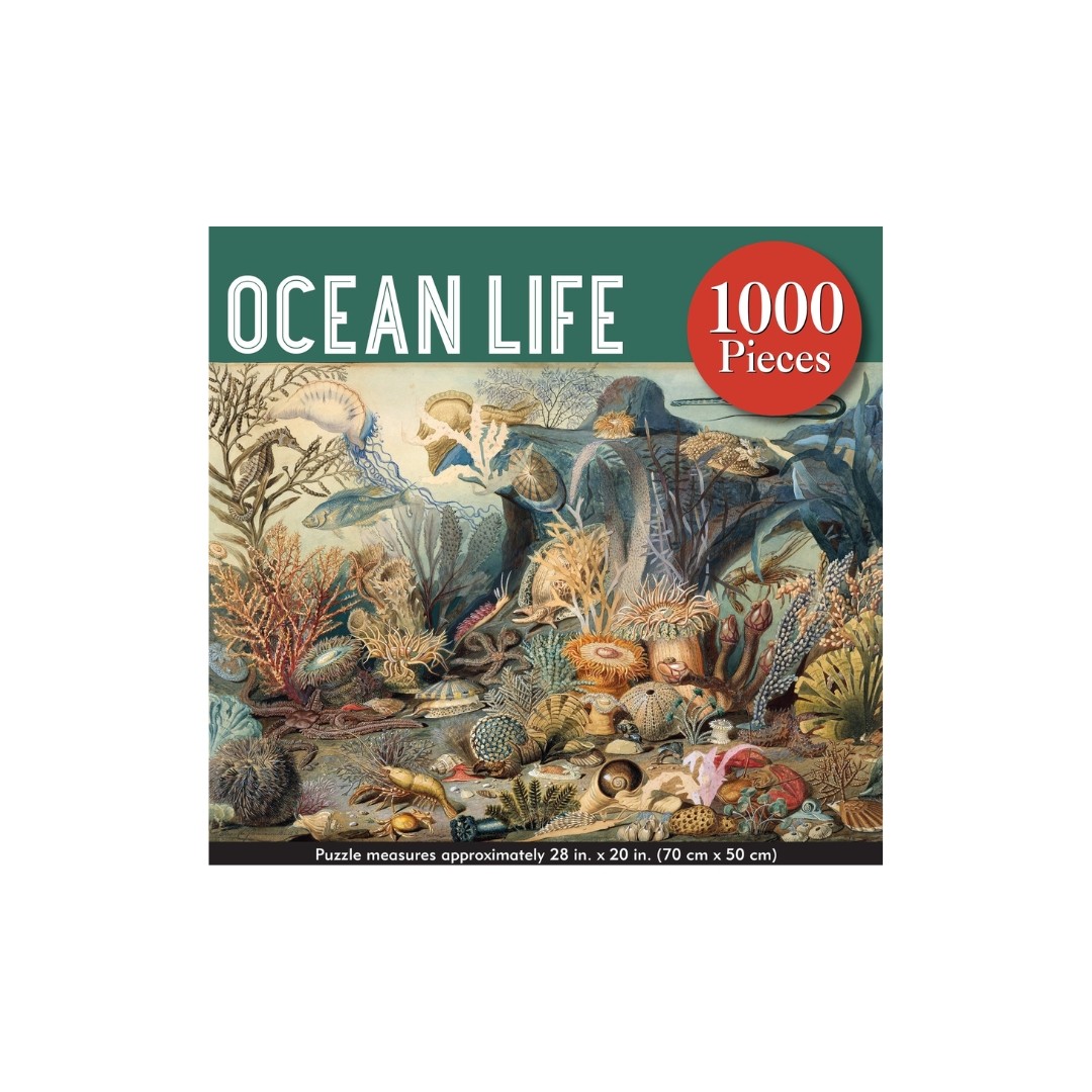 1000 Piece Puzzle - Ocean Life