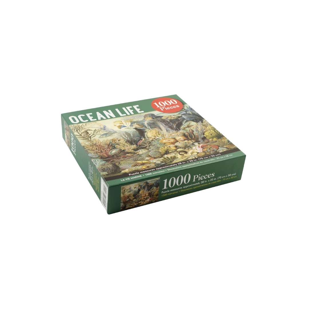 1000 Piece Puzzle - Ocean Life