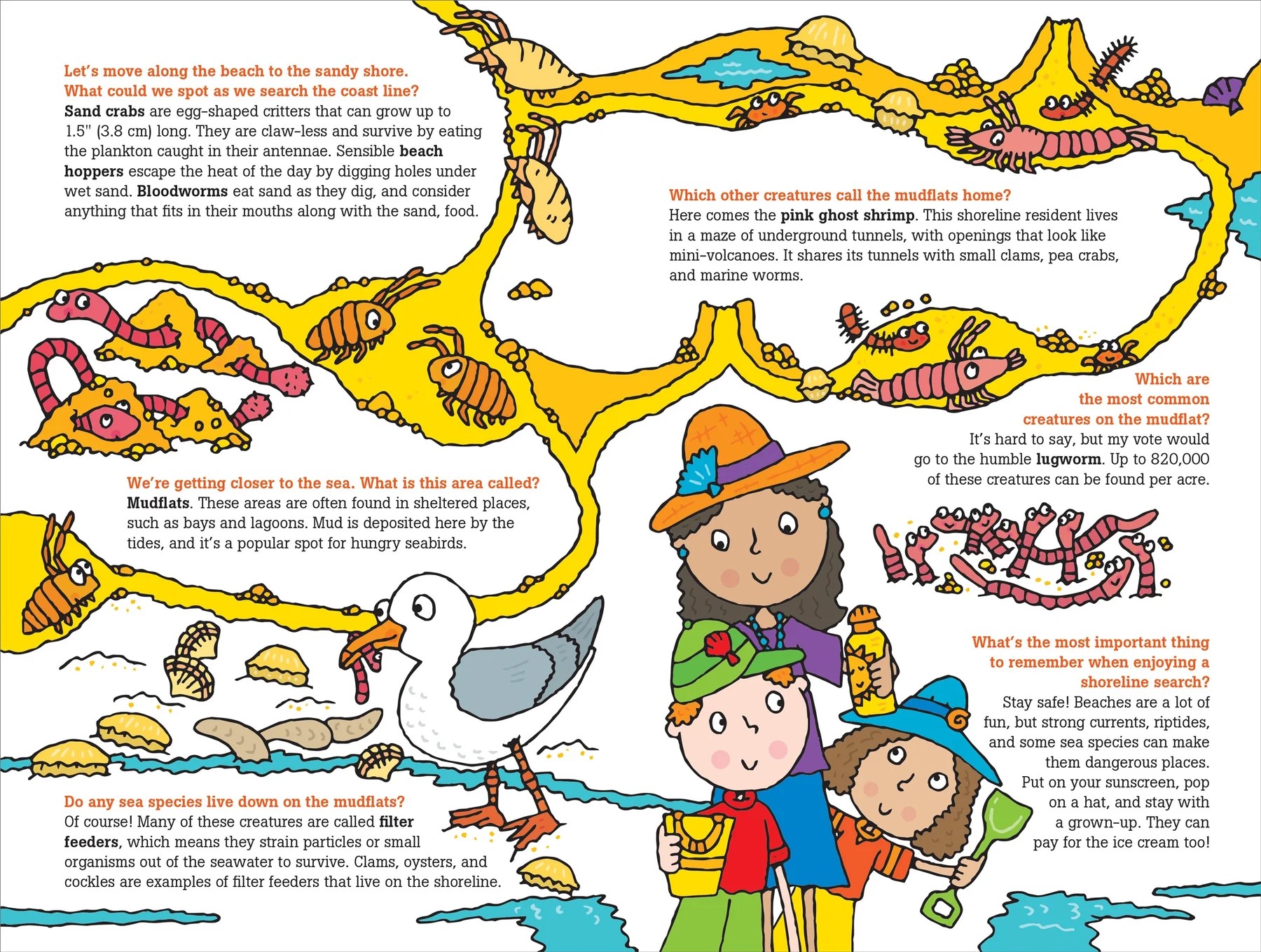 100 Questions about Oceans Book