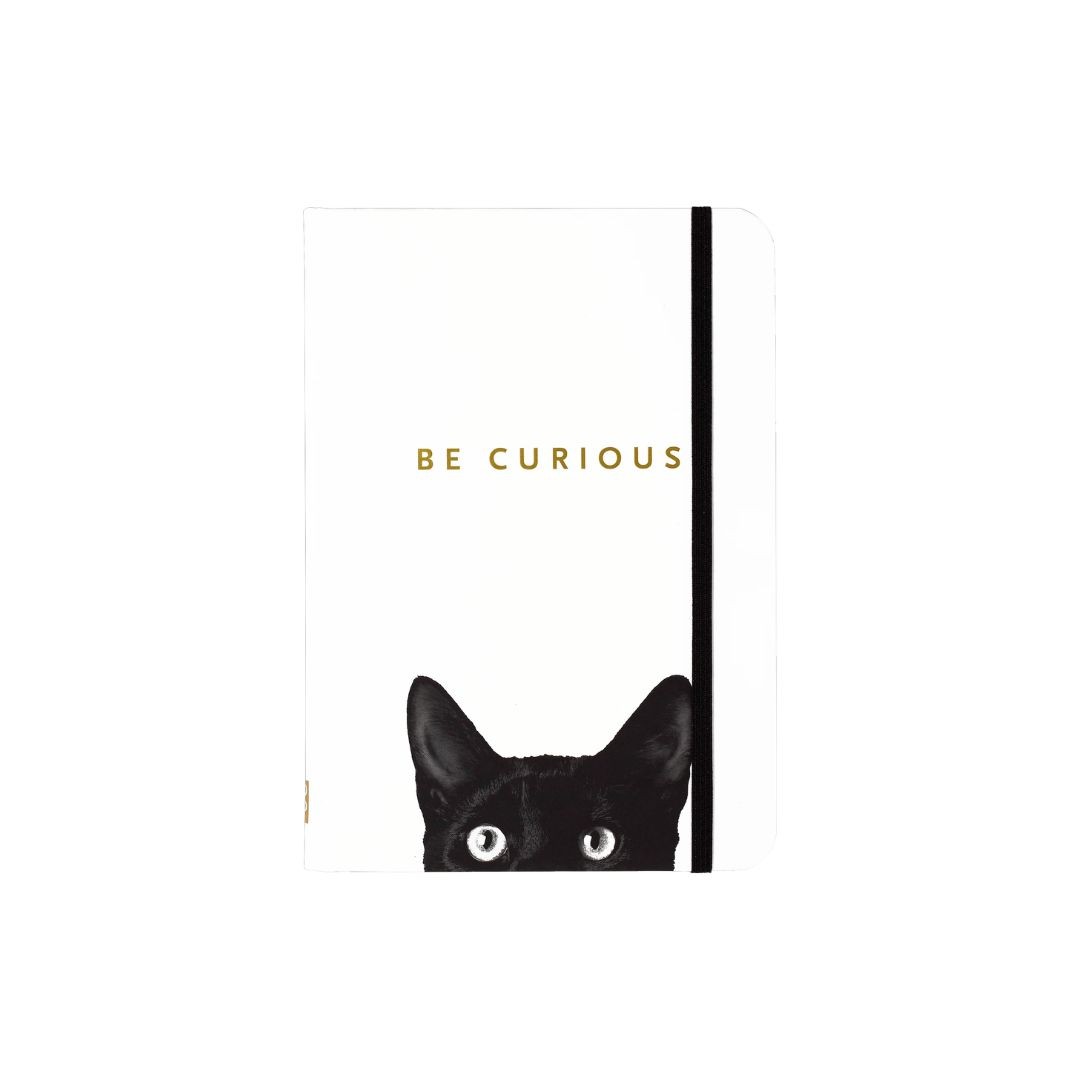 Curious Cat Journal