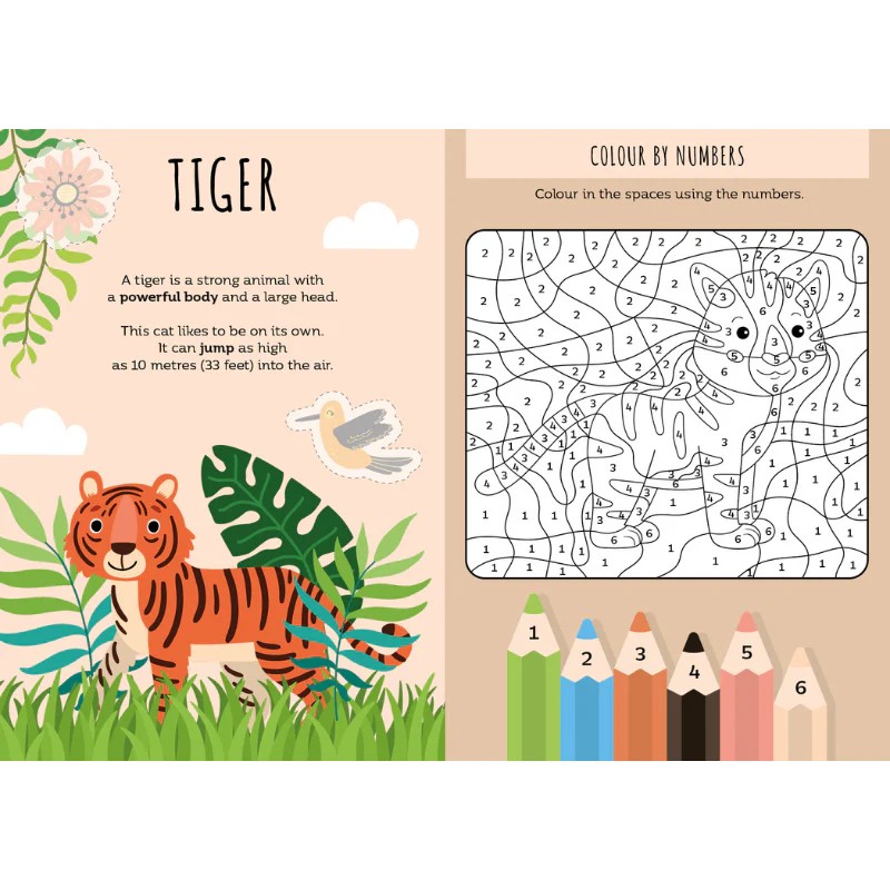 Stickers & Activities - The Jungle