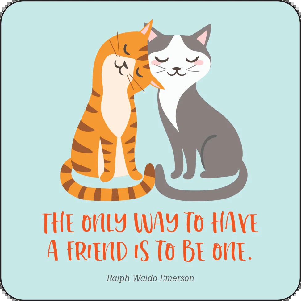 Noteworthy Kindness Lunch Box Notes Kids