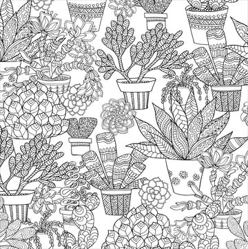 Artists Colouring Book - Succulents