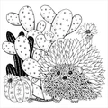 Artists Colouring Book - Succulents
