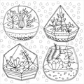 Artists Colouring Book - Succulents