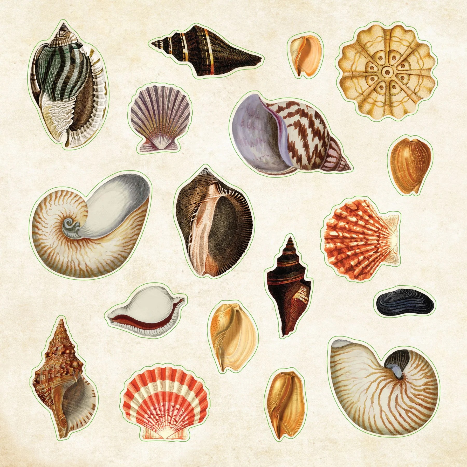 Sticker Book - Poseidon's Kingdom