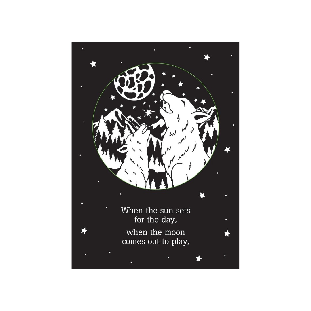 Bedtime Shadow Book - Twinkle, Twinkle, Little Star