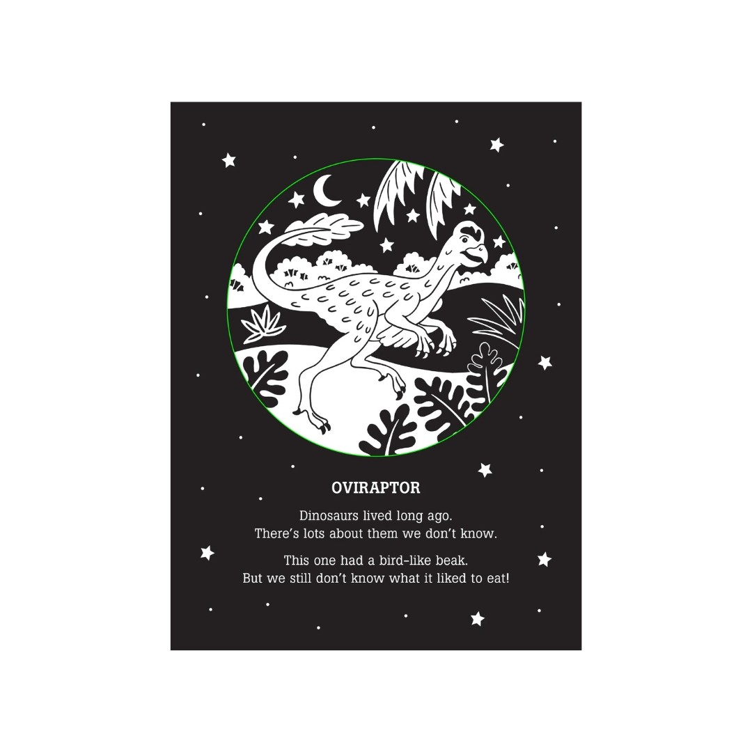 Bedtime Shadow Book - Dinos After Dark